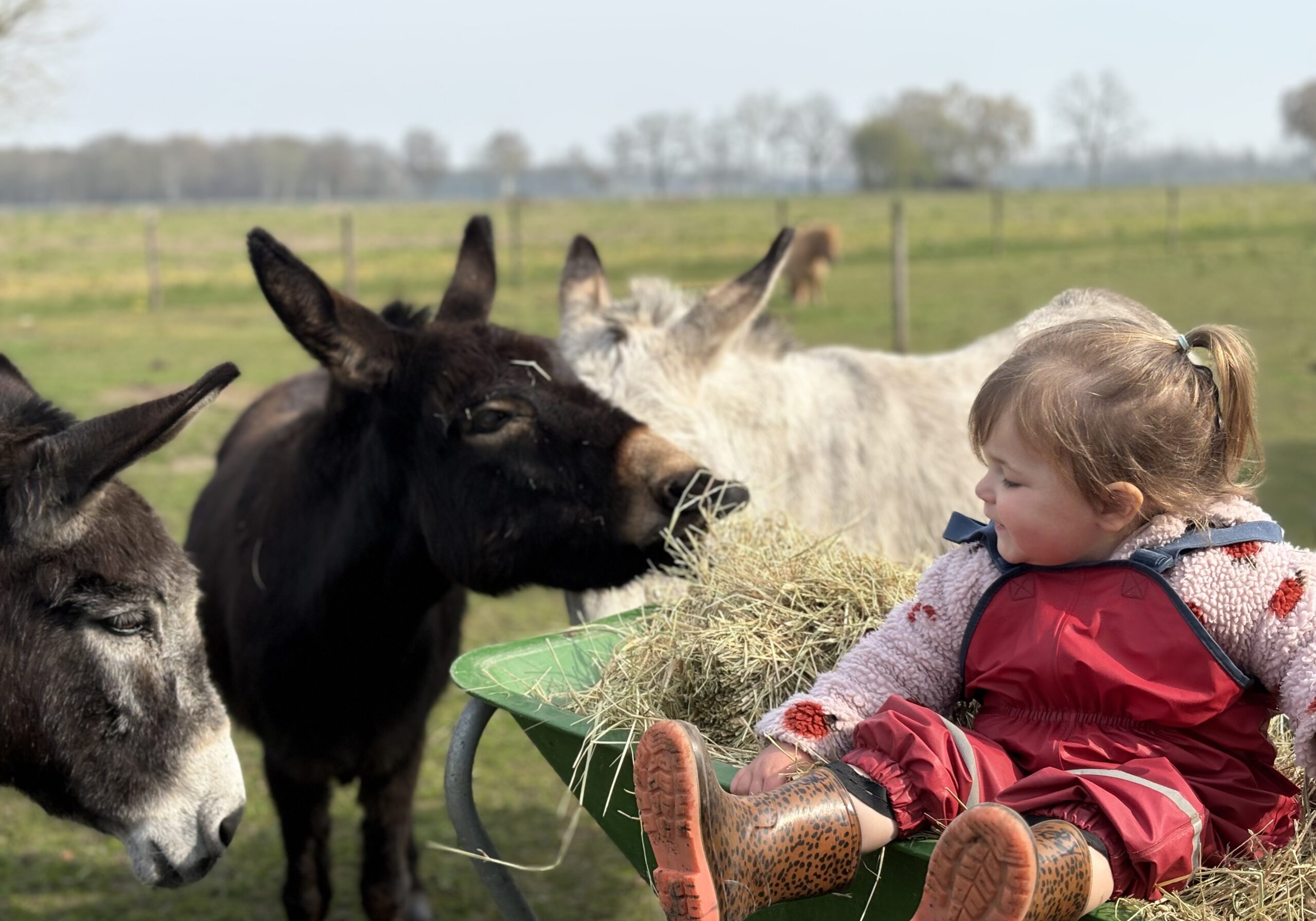 kinderdagverblijf